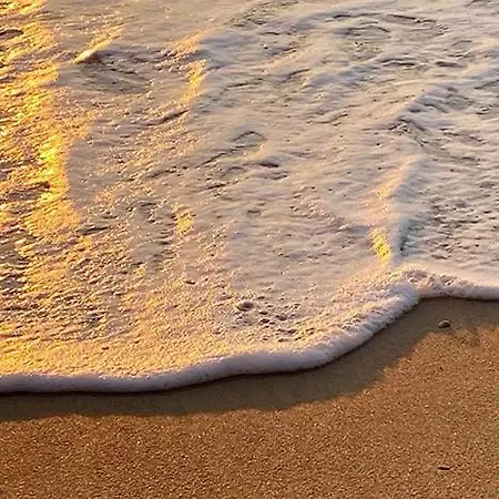 Dalmatia Paradise דירה