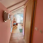 Dalmatia Paradise