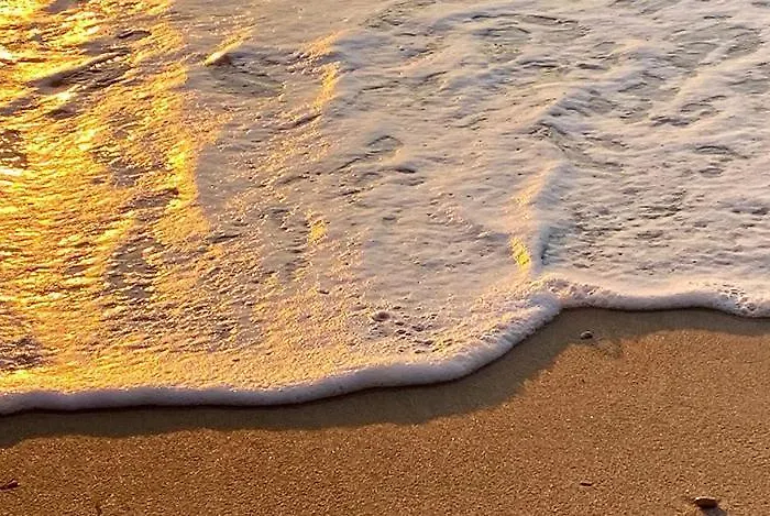 Dalmatia Paradise شقة